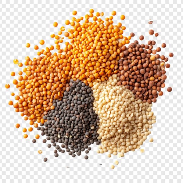 Lentils