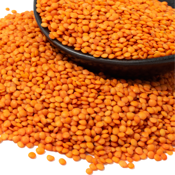 Masoor (Red Lentils)