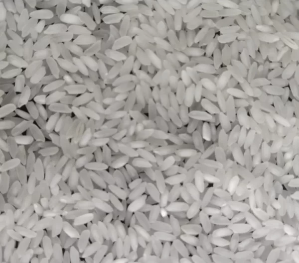 Indian Swarna Parboiled / White Rice