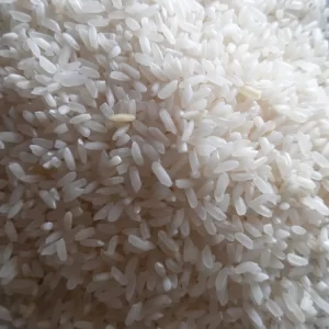 IR36 Parboiled / White Rice Long Grain