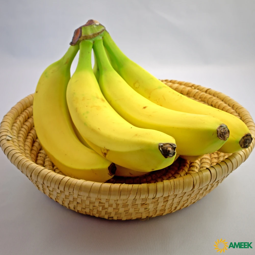 Ameek-Creations-Bananas