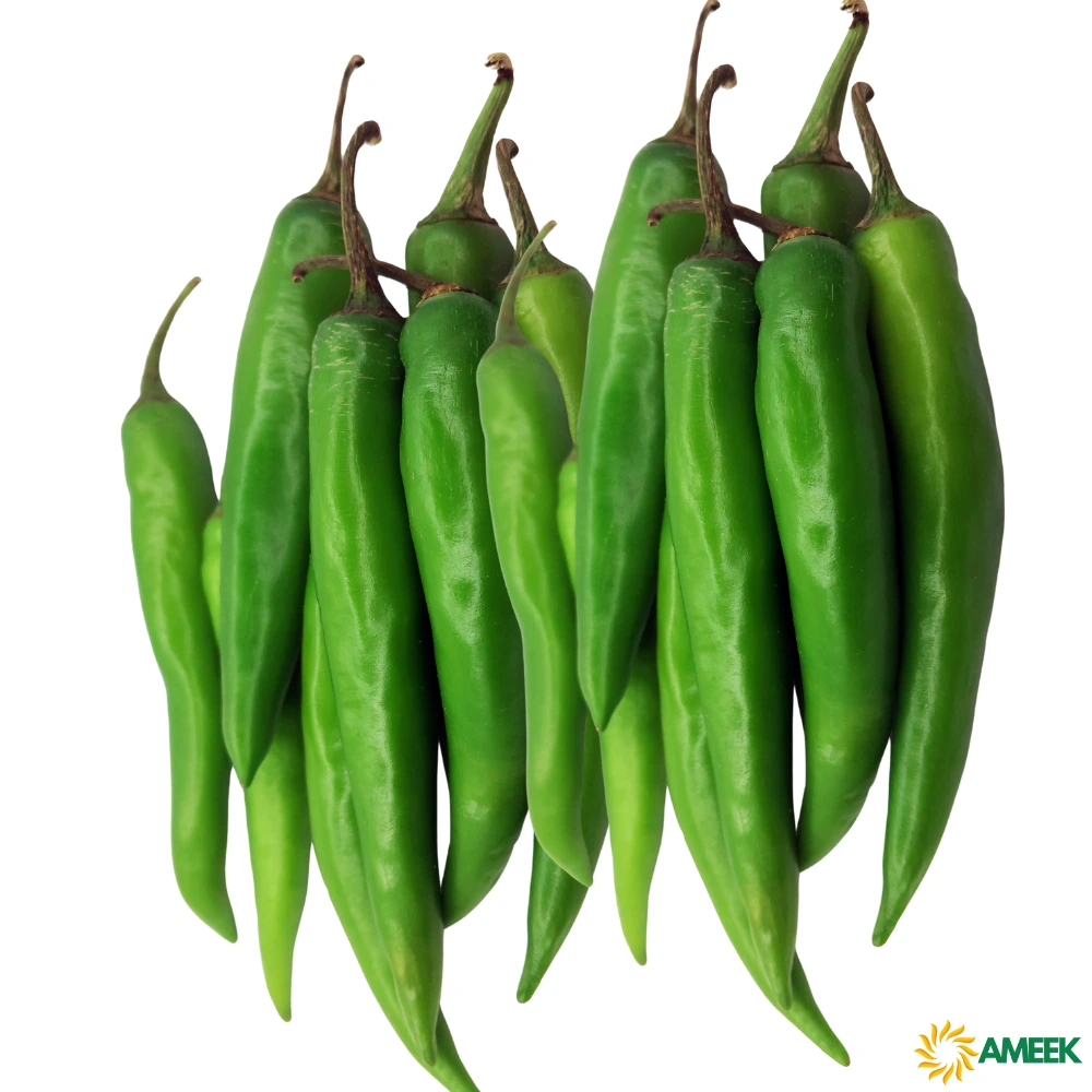 Ameek-Creations-Green-Chilli